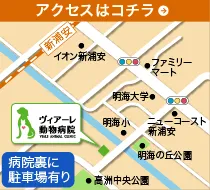 ヴィアーレ動物病院の地図